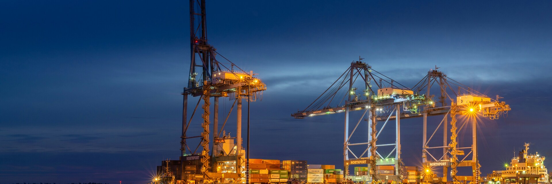 Domains kaufen wie ein Profi