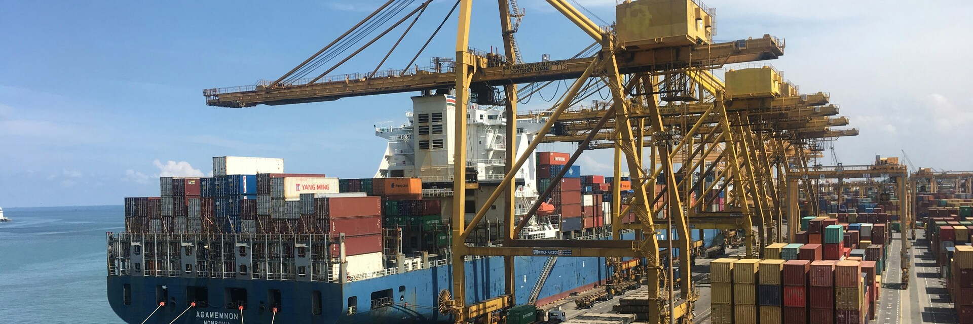 Fallstudie: Mit einer Domain zum Erfolg